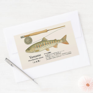 Adesivo Retangular Yamame (Oncorhynchus masou) – Ilustração japonesa