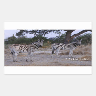 Adesivo Retangular Zebra Double Take Foto