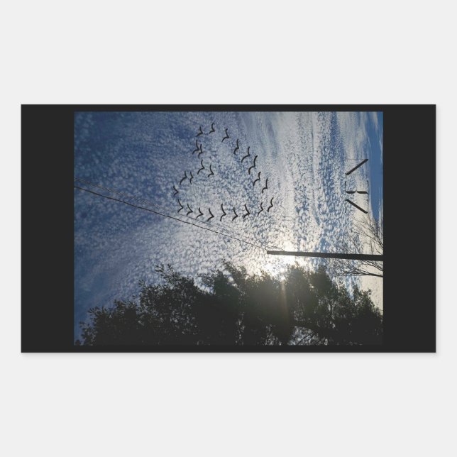 ADESIVO RETANGULAR ZEN (Frente)