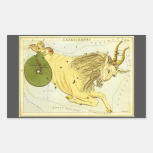 Adesivo Retangular Zodíaco do vintage, constelação do Capricórnio