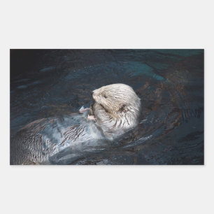 Adesivo Retangular Zoo selvagem aquático selvagem