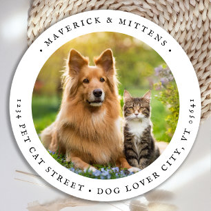 Adesivo Retornar Endereço Personalizado Foto Pet Dog Simpl