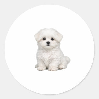 Adesivo Retrato de Cachorrinho Maltês Branco Fofinho Amant