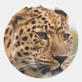 Adesivo Retrato de Leopardo
