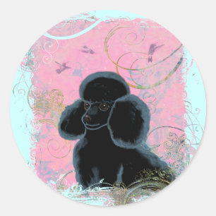 Adesivo Retrato de Poodle Negro com Hummingbird.