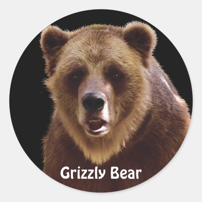 Adesivo Retrato de Urso Grizzly Vinhetas Selvagens (Frente)