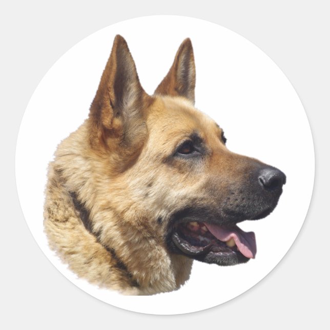 Adesivo Retrato do German shepherd alsaciano (Frente)