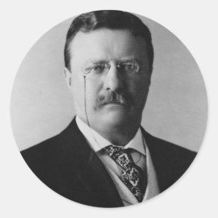 Adesivo Retrato do Presidente Theodore Roosevelt