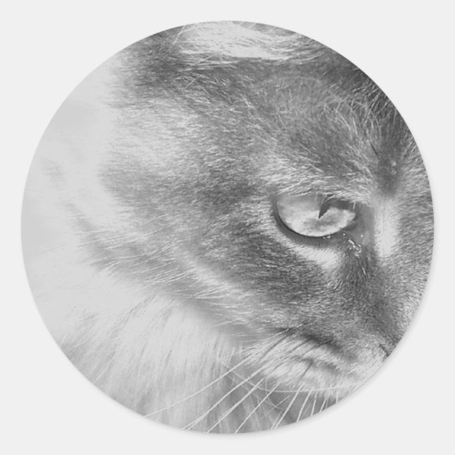 Adesivo Retrato "Gatinho Anjo" (Frente)