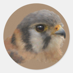 Adesivo Retrato Kestrel Americano