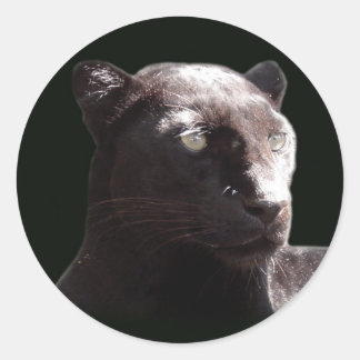 Adesivo Retrato Preto Leopardo