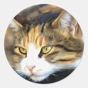 Adesivo Retrato Realista do Gato Calico Amarelo