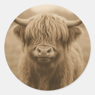 Adesivo Retrato Sepia de Vaca das Terras Altas