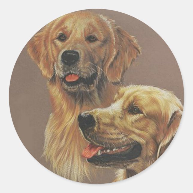 Adesivo Retriever de ouro (Frente)