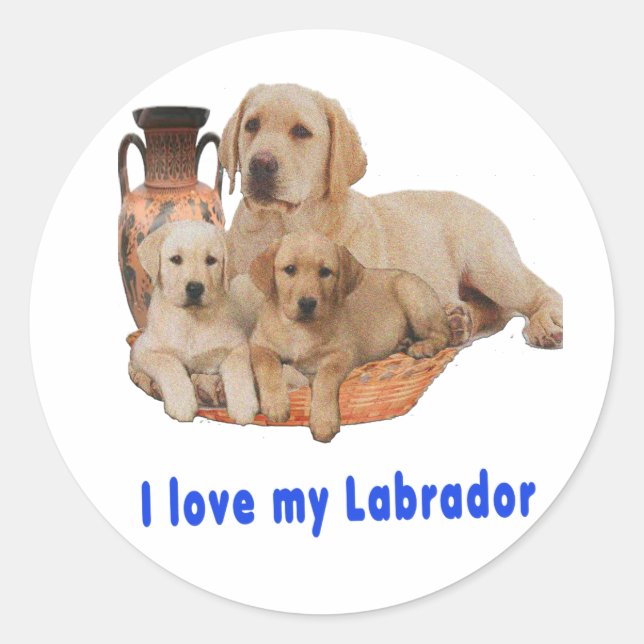 Adesivo Retriever Labrador (Frente)