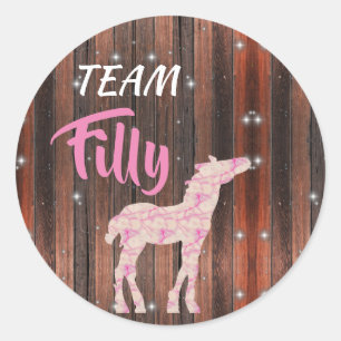 Adesivo Revelação de Gênero Rosa "Team Filly"