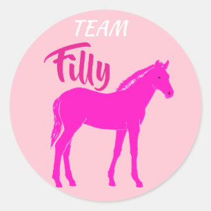 Adesivo Revelação de Gênero Rosa "Team Filly"