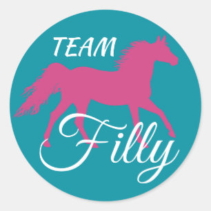 Adesivo Revelação de Gênero Rosa "Team Filly"
