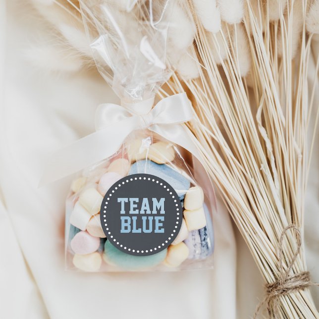 Adesivo Revelação do Gênero do Bebê do Quadro Azul da Equi (Criador carregado)