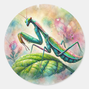 Adesivo Rezando Mantis Em Leaf Watercolor