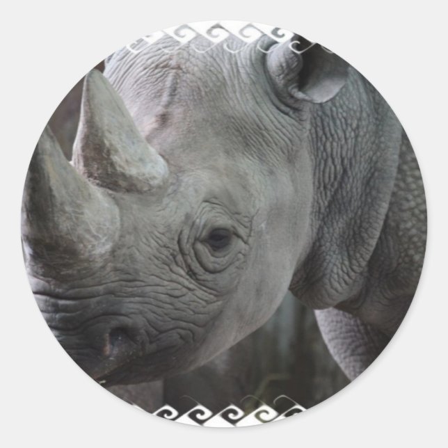 Adesivo Rhino Facts Stickers (Frente)