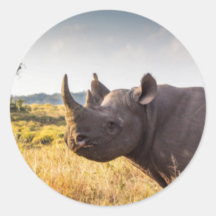Adesivo Rhino Sticker