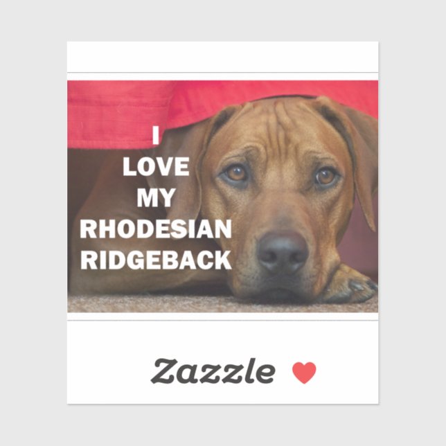 Adesivo rhodesian ridgeback love w pic (Folha)