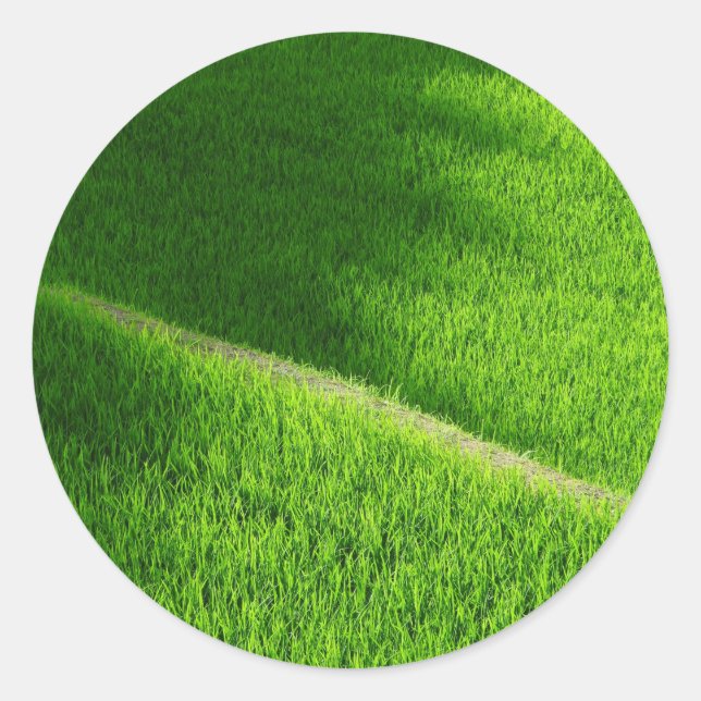 Adesivo Rice Terraces Yamada's Rice Fields Japão (Frente)