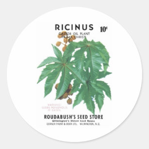 Adesivo Ricinus, Castor OIl Plant, Roudabush Seed Store