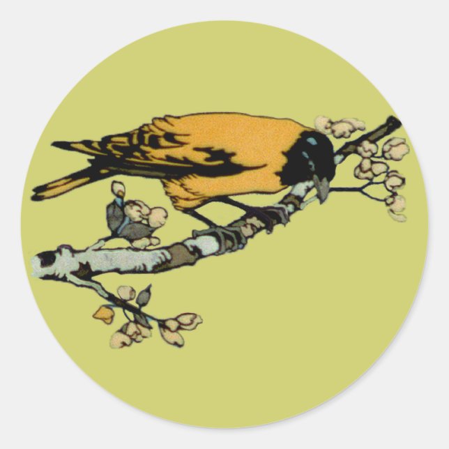 Adesivo Rielaboração da Ilustração das Aves Vintage Amarel (Frente)