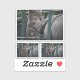 Adesivo Rinoceronte de Corno Único Maior do Zoológico de E