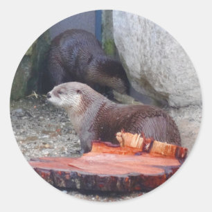 Adesivo Rio Americano Otter #1 Stickers