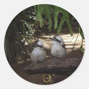 Adesivo Riso de Kookaburras
