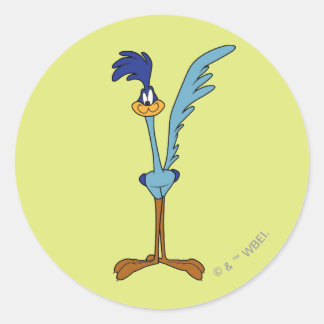 Adesivo ROAD RUNNER™ em cor