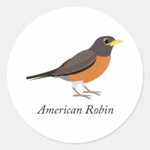 Adesivo Robin Americano