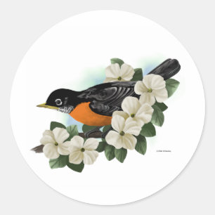 Adesivo Robin Stickers