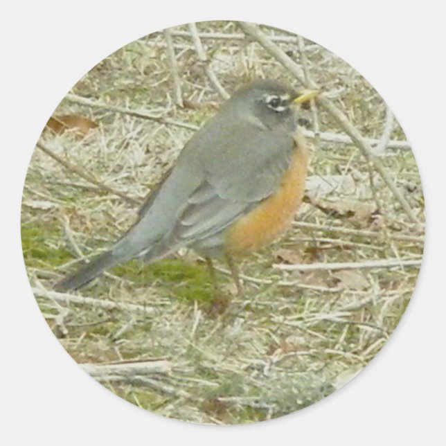 Adesivo Robin Stickers (Frente)