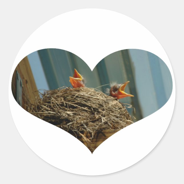 Adesivo Robins para bebês (Frente)