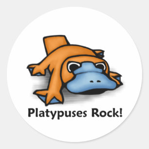 Adesivo Rocha de Platypuses!