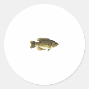 Adesivo Rock Bass