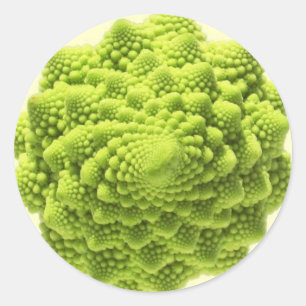 Adesivo romanesco-phi