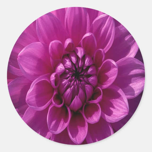 Adesivo Romântico Floral Rosado (Frente)