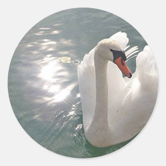 Adesivo Romantischer weisser Schwan (Frente)