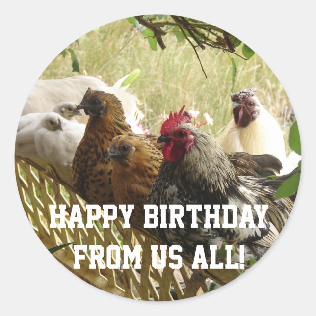 Adesivo Rooster Chickens Feliz Aniversário de Todos Nós (Frente)