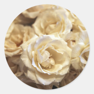 adesivo rosa