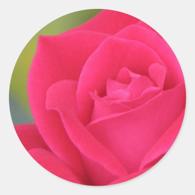 adesivo rosa (Frente)
