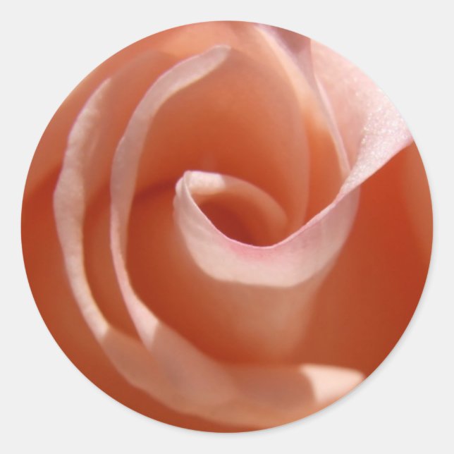 Adesivo Rosa (Frente)