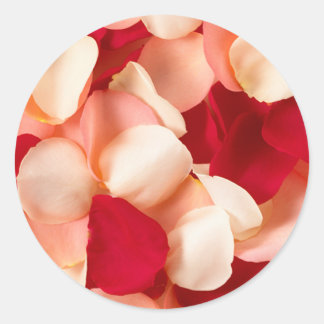Adesivo Rosa