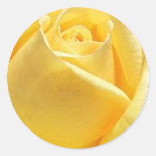 Adesivo Rosa Amarela