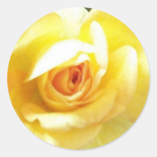 Adesivo Rosa Amarela